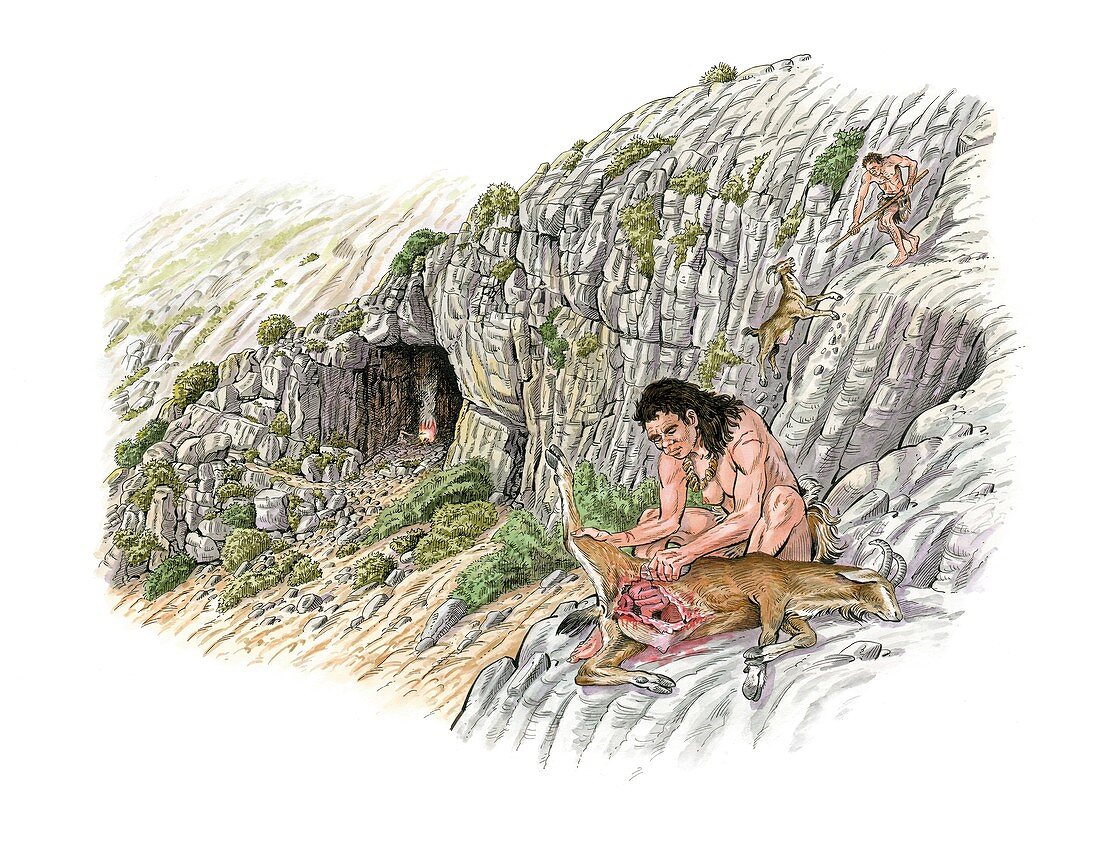 Palaeolithic goat hunting,artwork