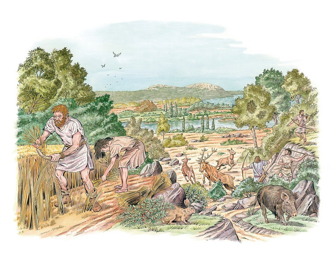 Bronze Age farming and hunting,artwork