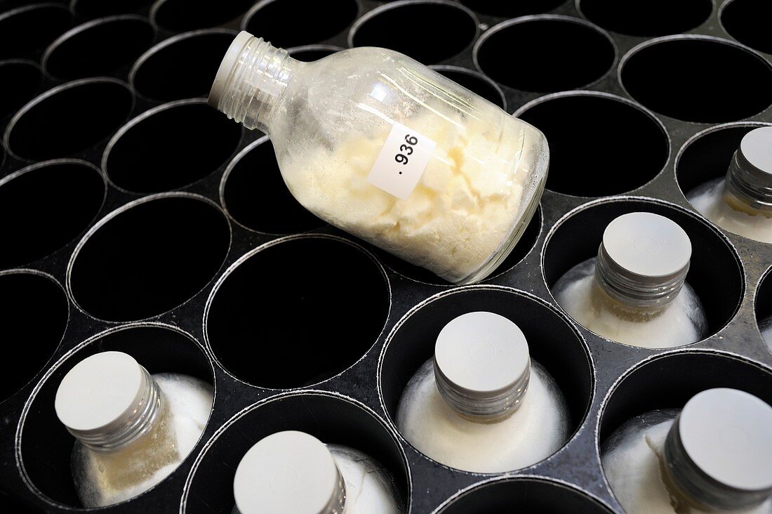 Breast milk processing plant