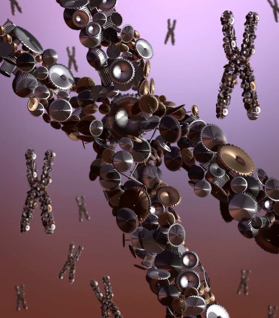 Chromosome as a machine,conceptual image