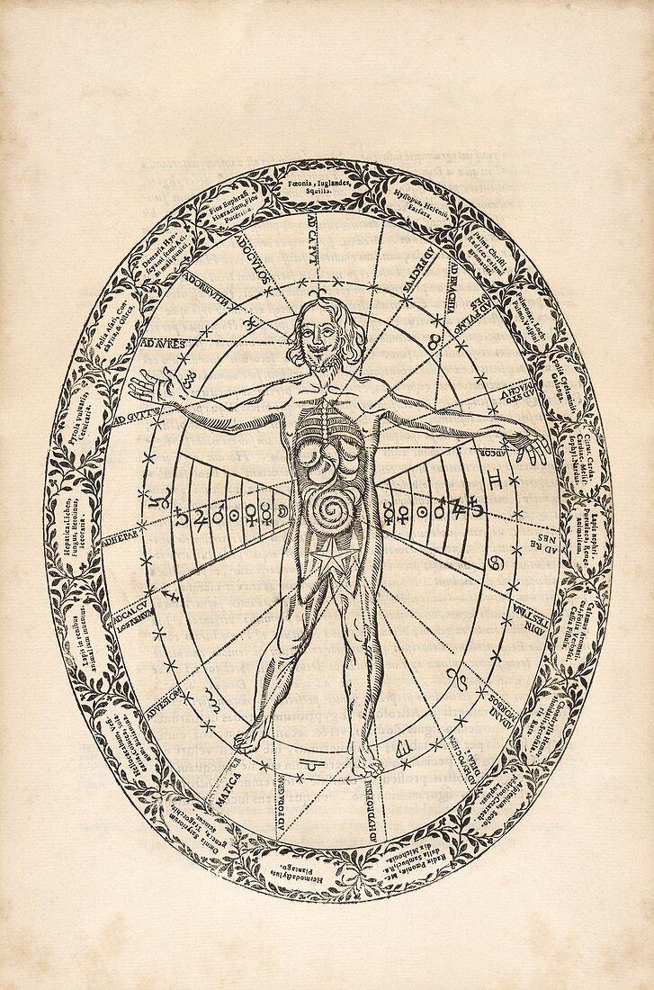 Microcosm and macrocosm,17th century