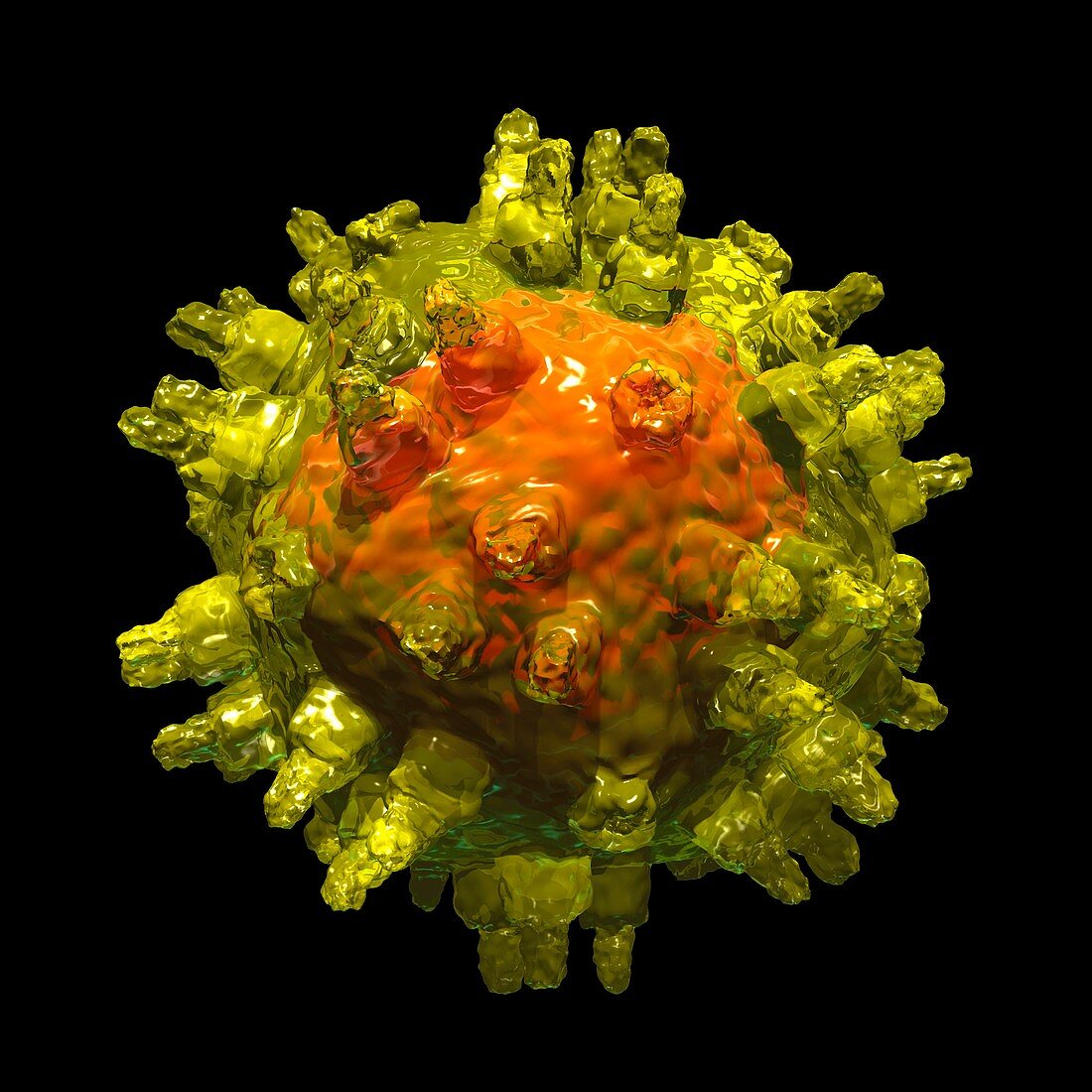 Adeno-associated virus