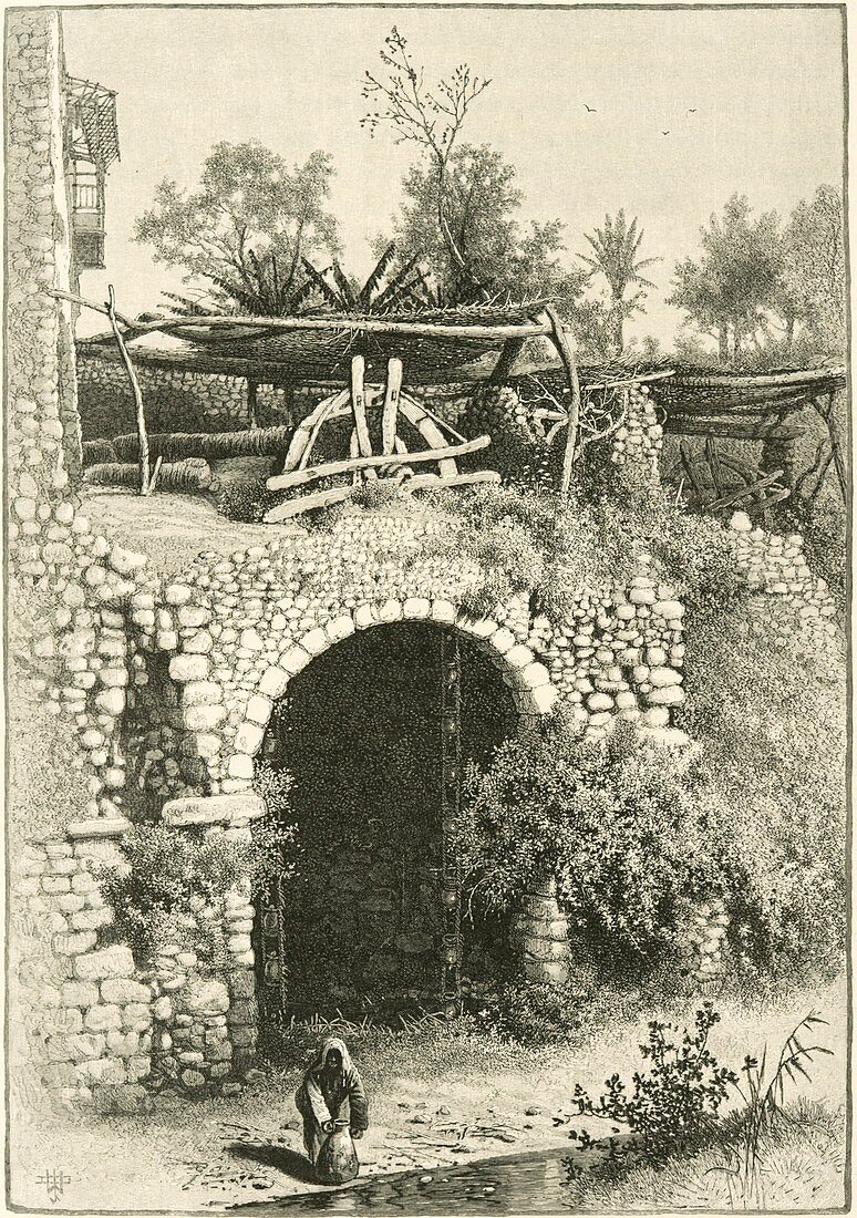 Water wheel in Egypt,1880s