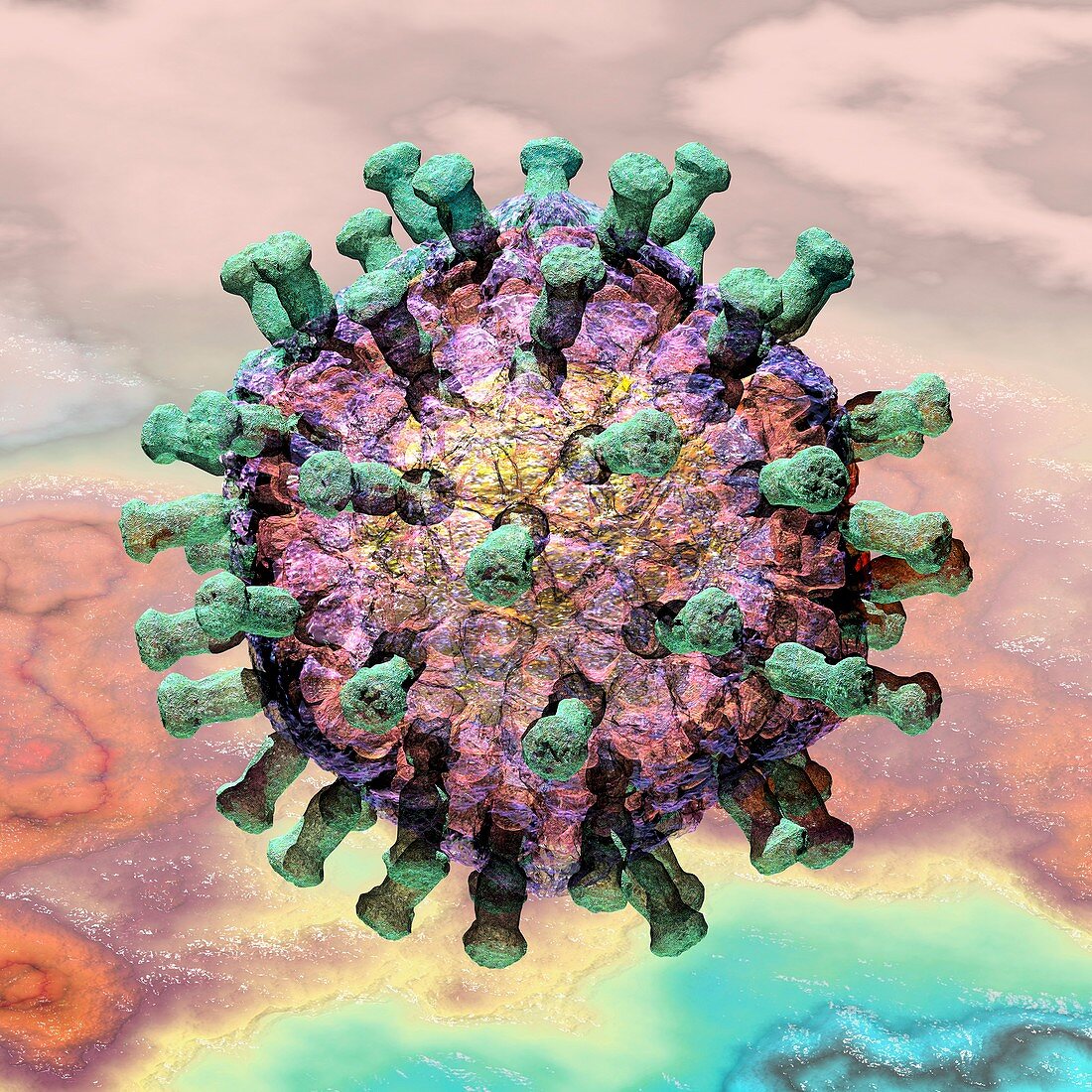 Rotavirus particle,artwork