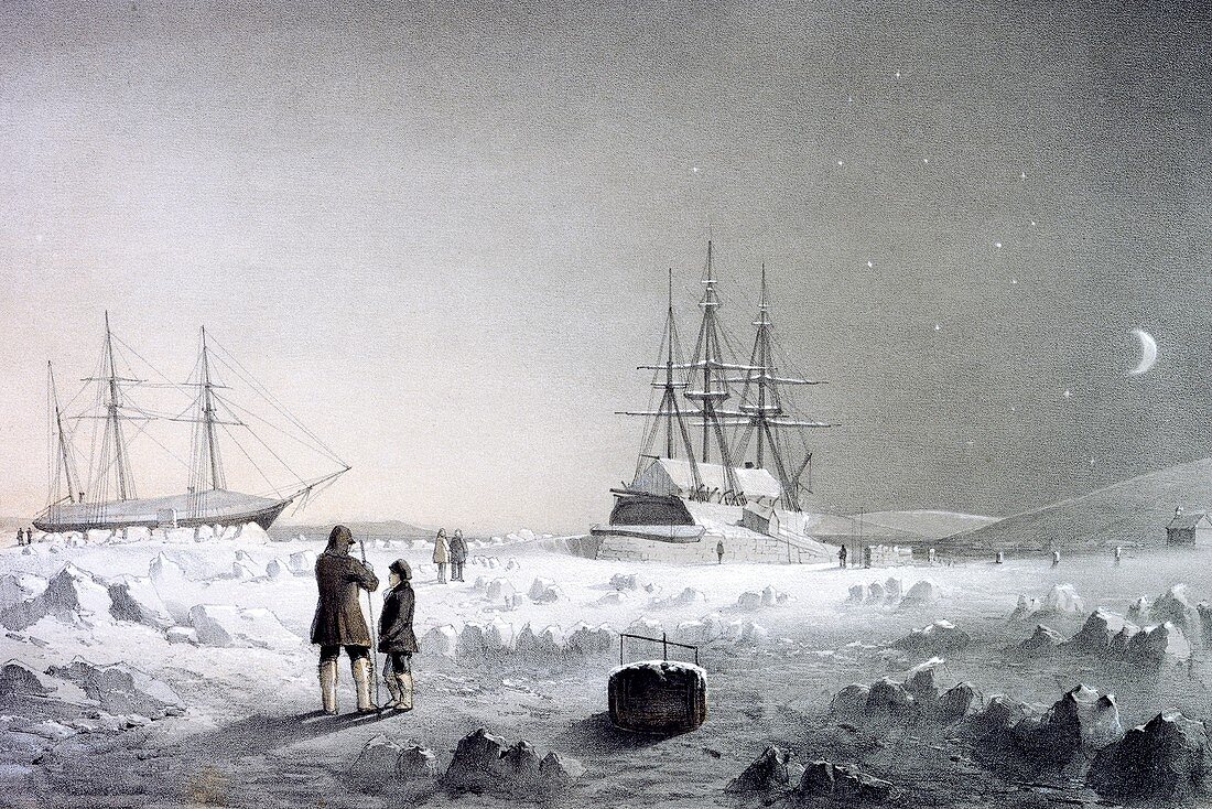 Belcher Arctic expedition,1850s