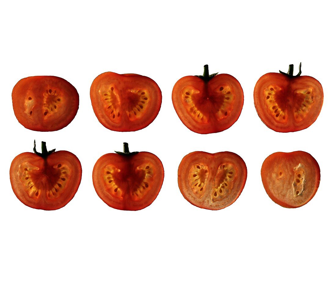 Tomato slices