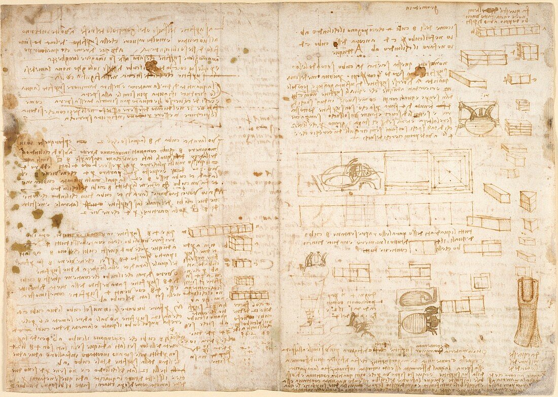 Notes by Leonardo da Vinci,Codex Arundel