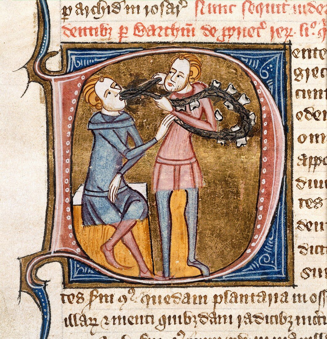 Dentistry,14th-century manuscript
