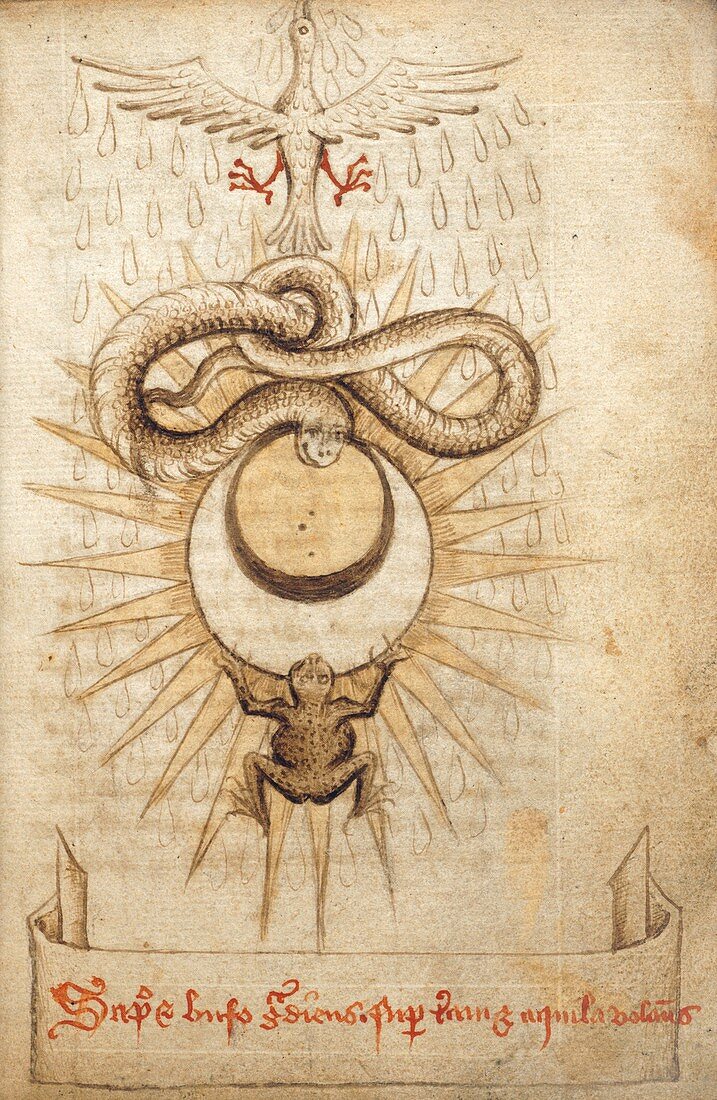 Alchemical drawings,15th century
