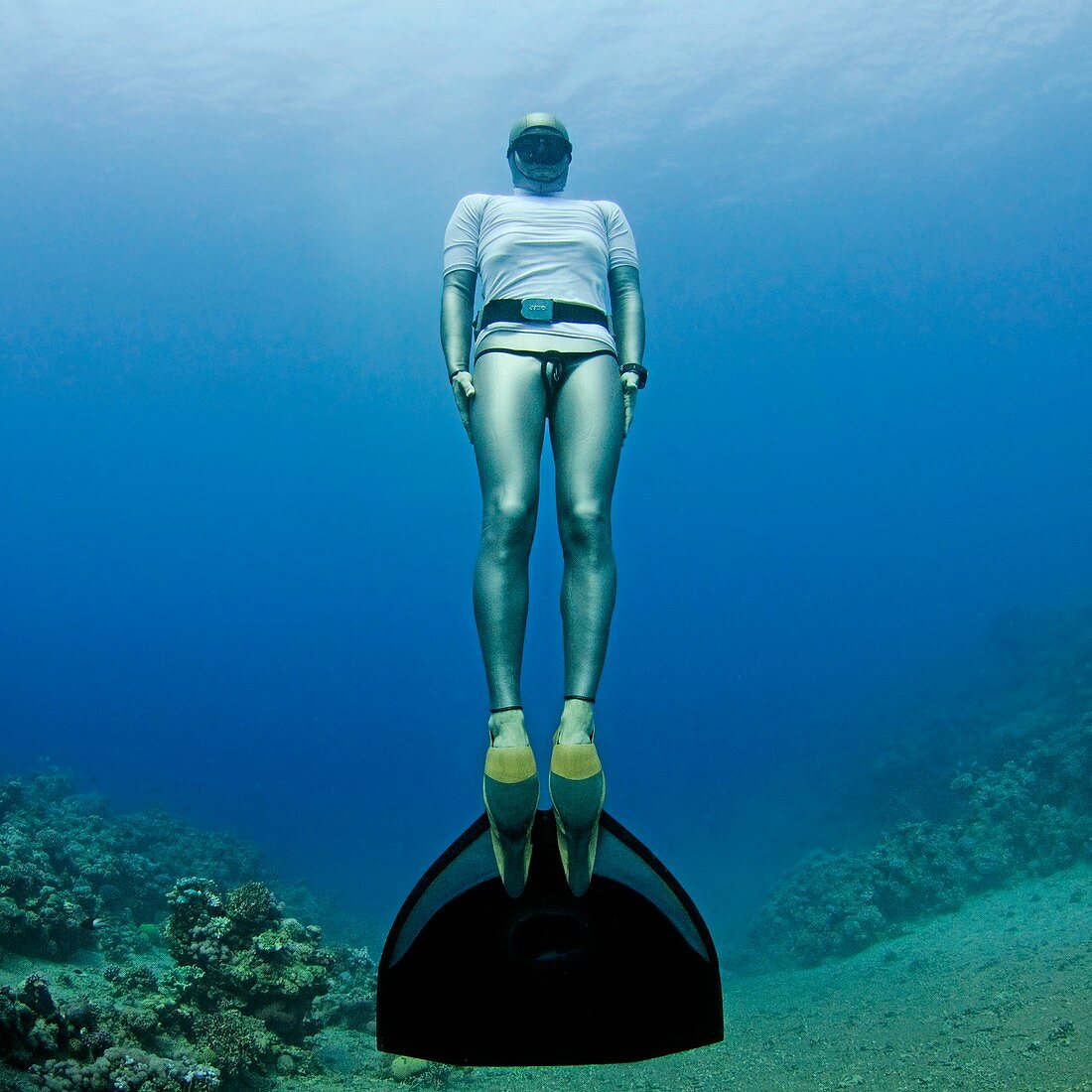 Freediver underwater