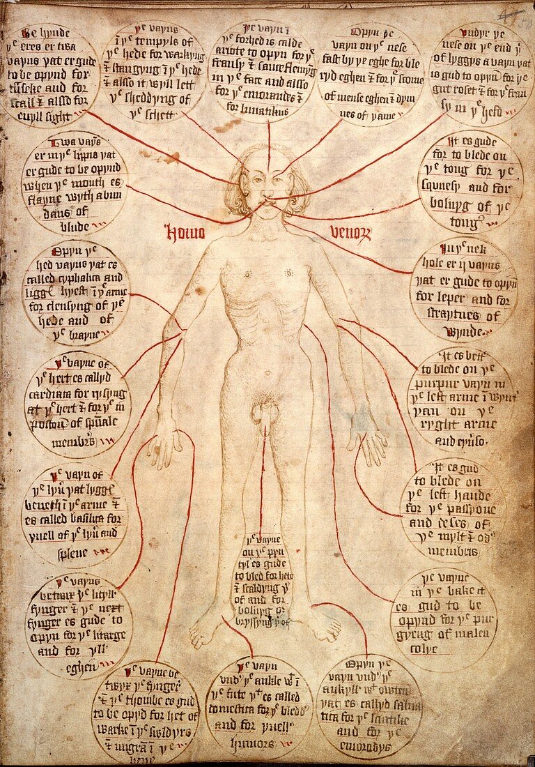 Blood-letting instructions,15th century