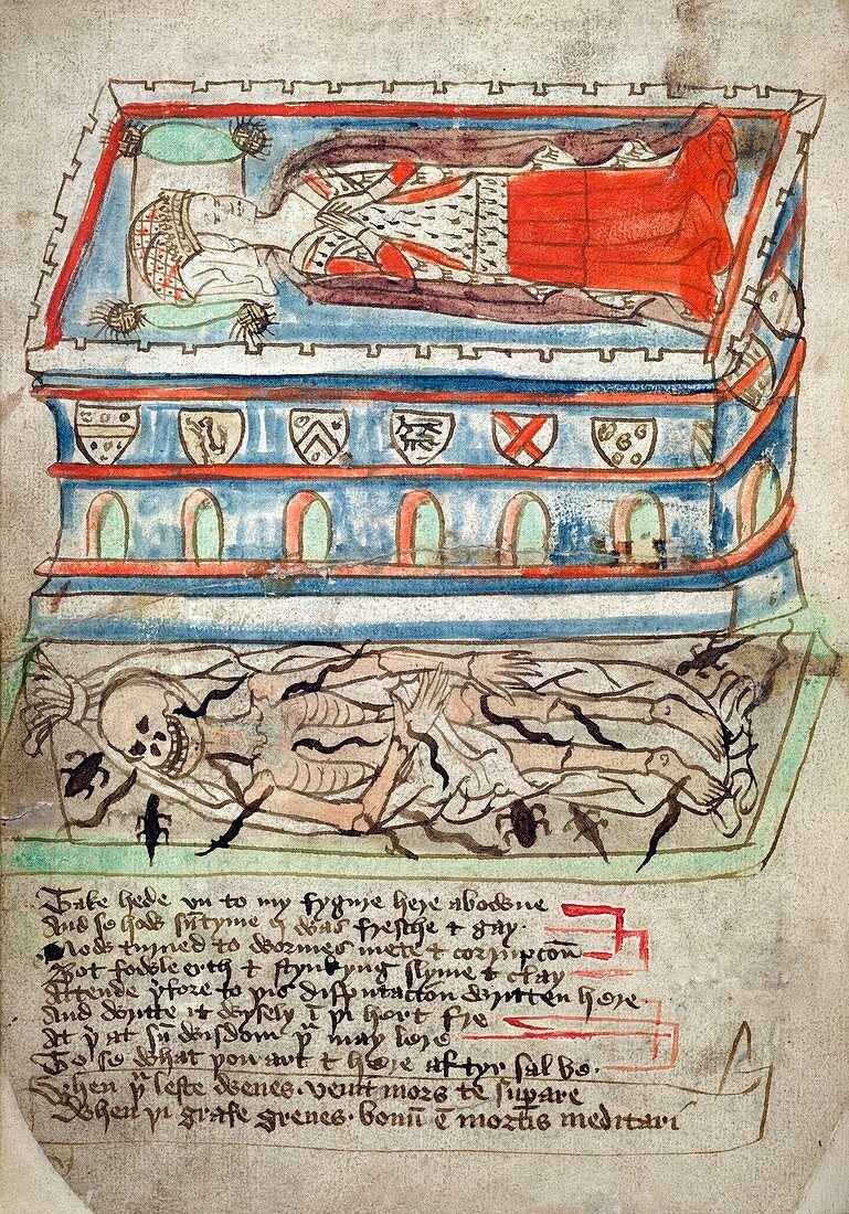 Female corpse,15th century artwork