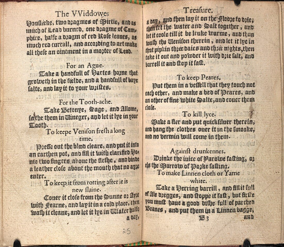 Housewife's handbook,16th century