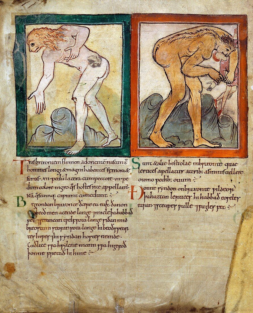 Mythical beasts,11th century artwork