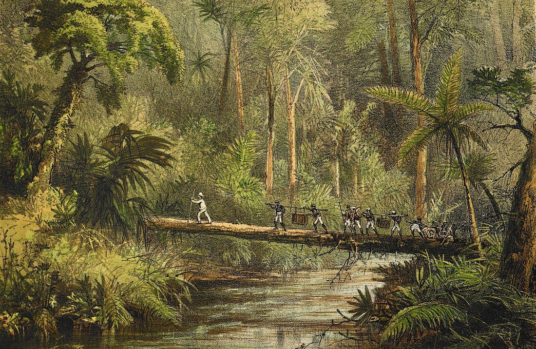 Explorations in Borneo,1879