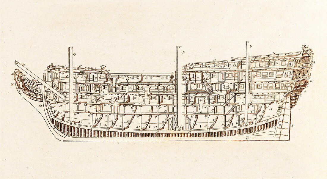Section of a First Rate Ship of War