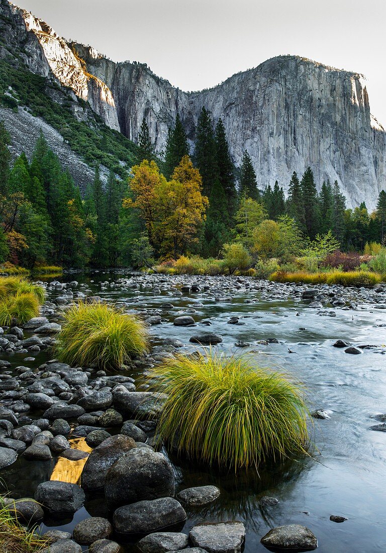 Yosemite National Park,USA