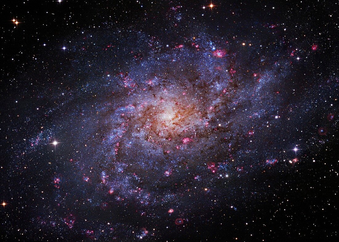 Triangulum Galaxy (M33),optical image