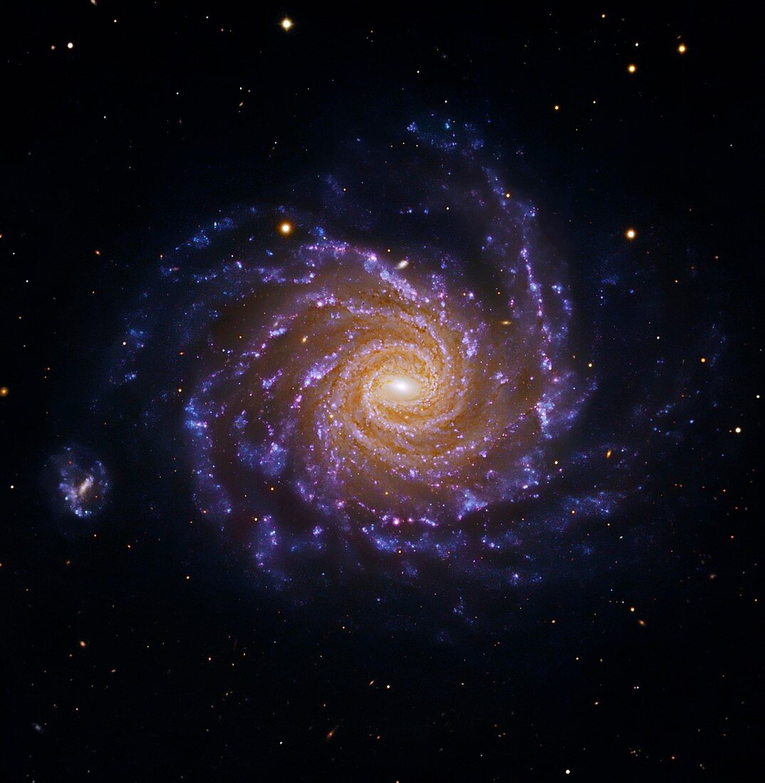 Spiral galaxy NGC 1232,optical image
