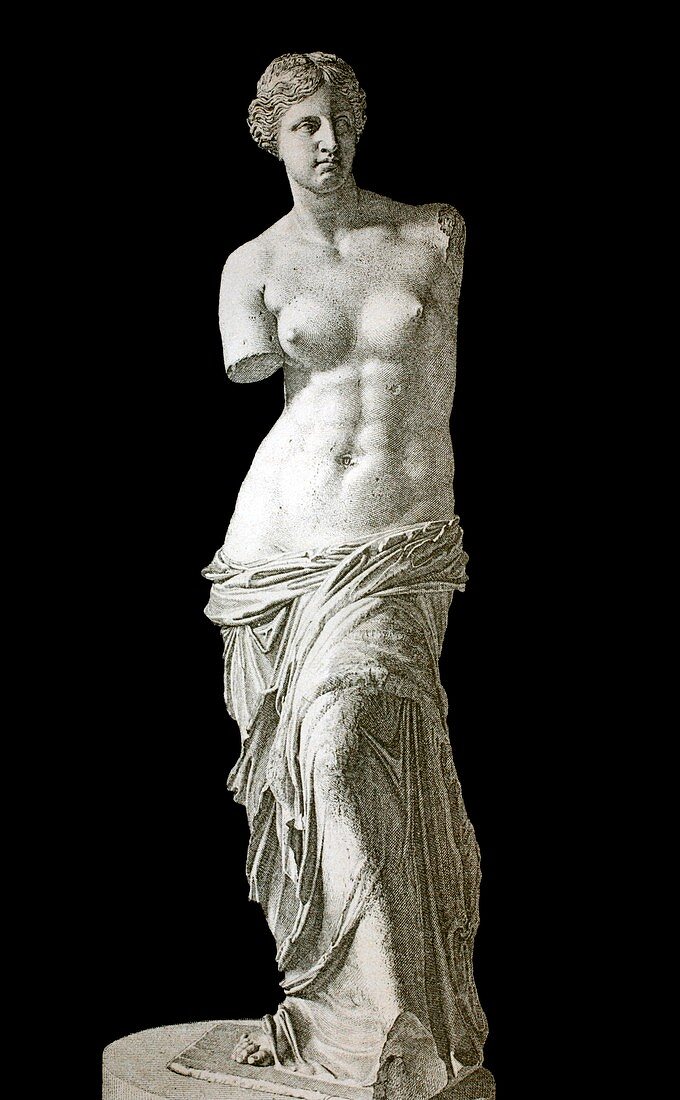 Venus de Milo sculpture,1880s artwork