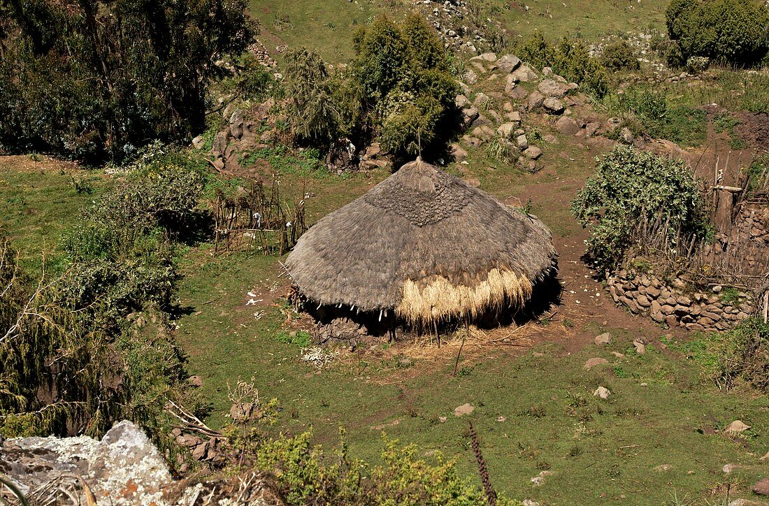 Cattle shelter,Ethiopia