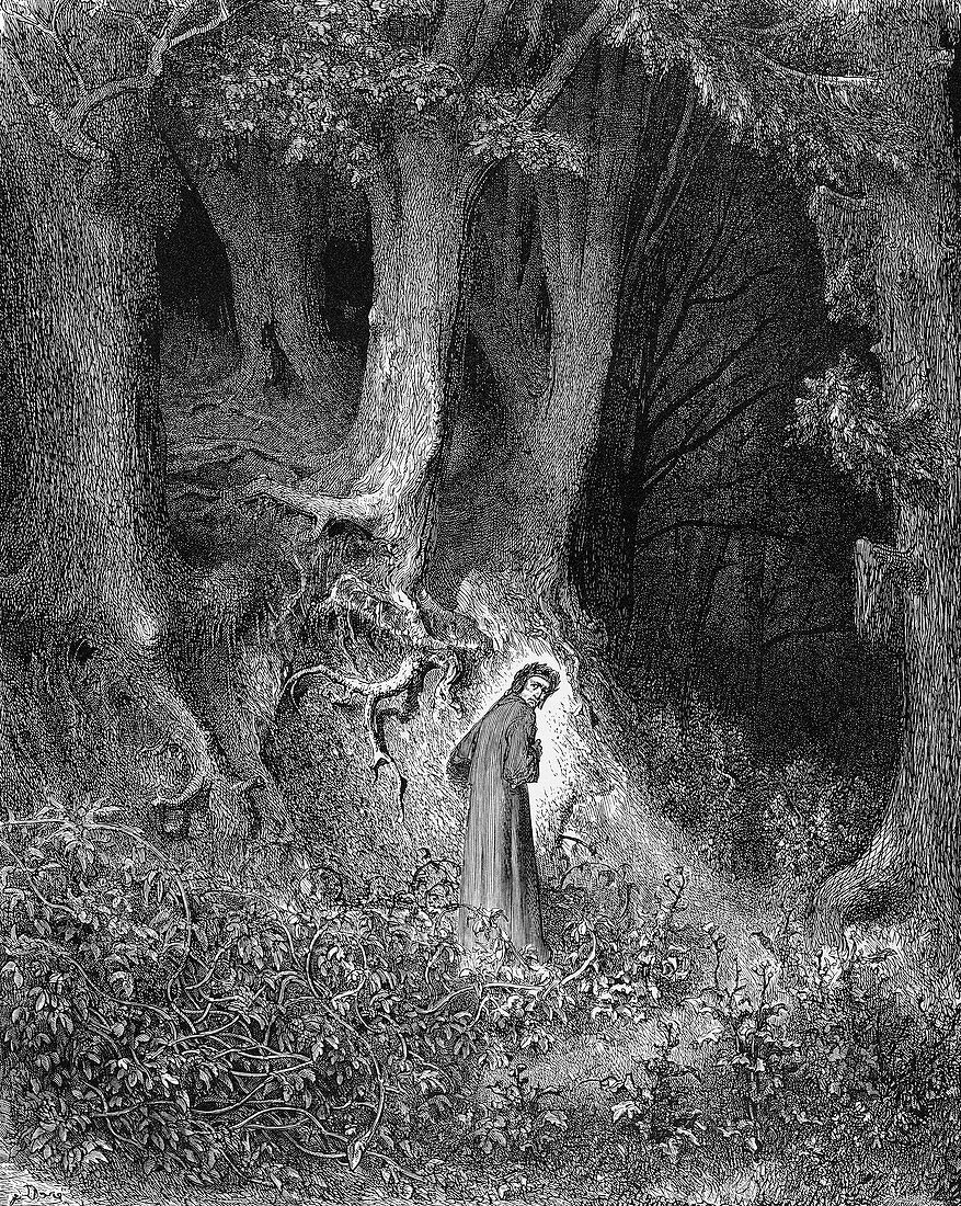 Dante's Inferno,the gloomy wood