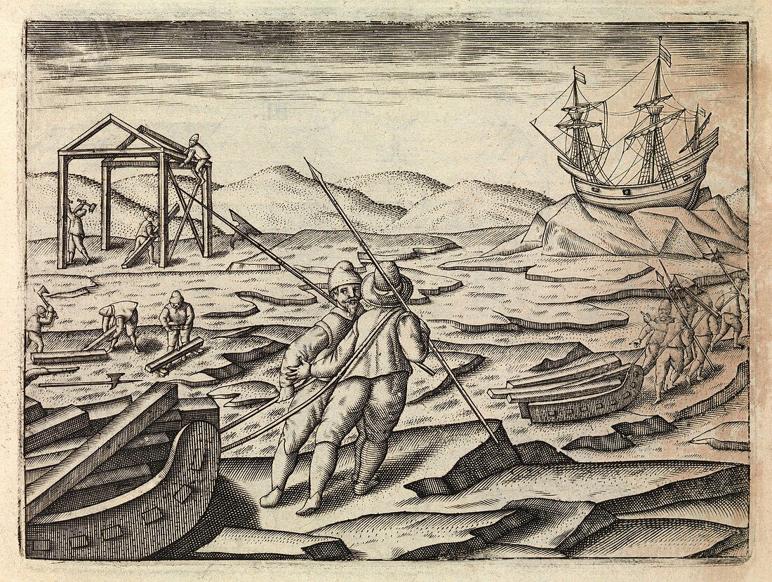 Dutch Northeast Arctic expedition,1596-7
