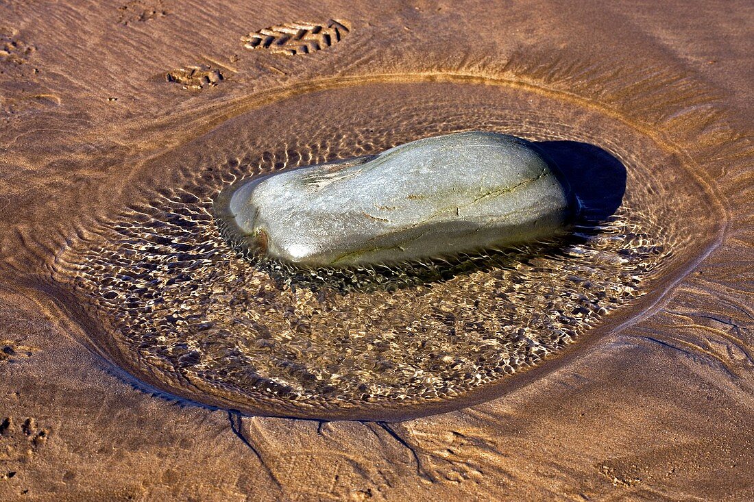 Tidal ripples around boulder