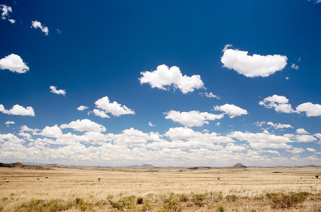 Karoo,South Africa