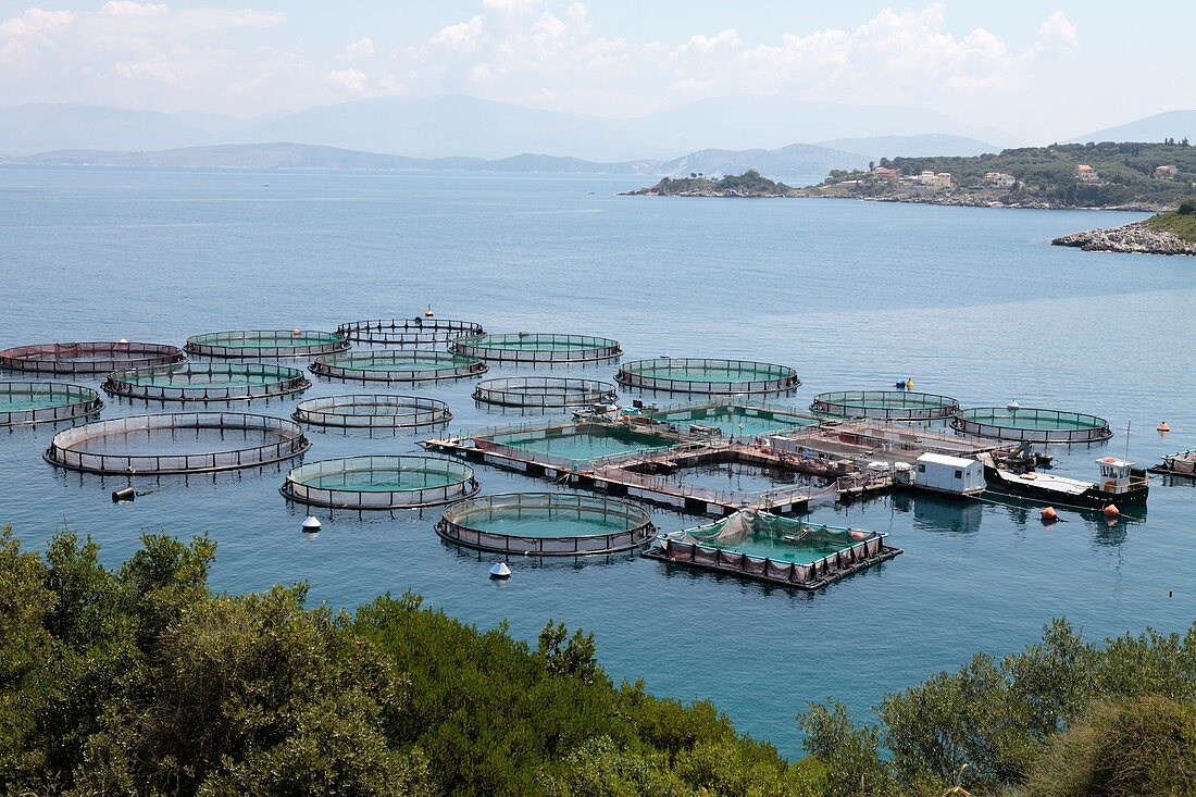 Fish farm,Corfu,Greece