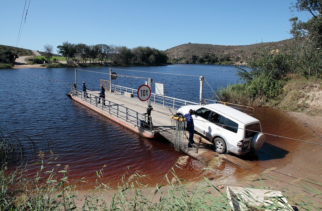 Cable ferry,Bree River,South Africa