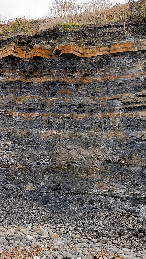 Mudstone and shale cliff,Dorset
