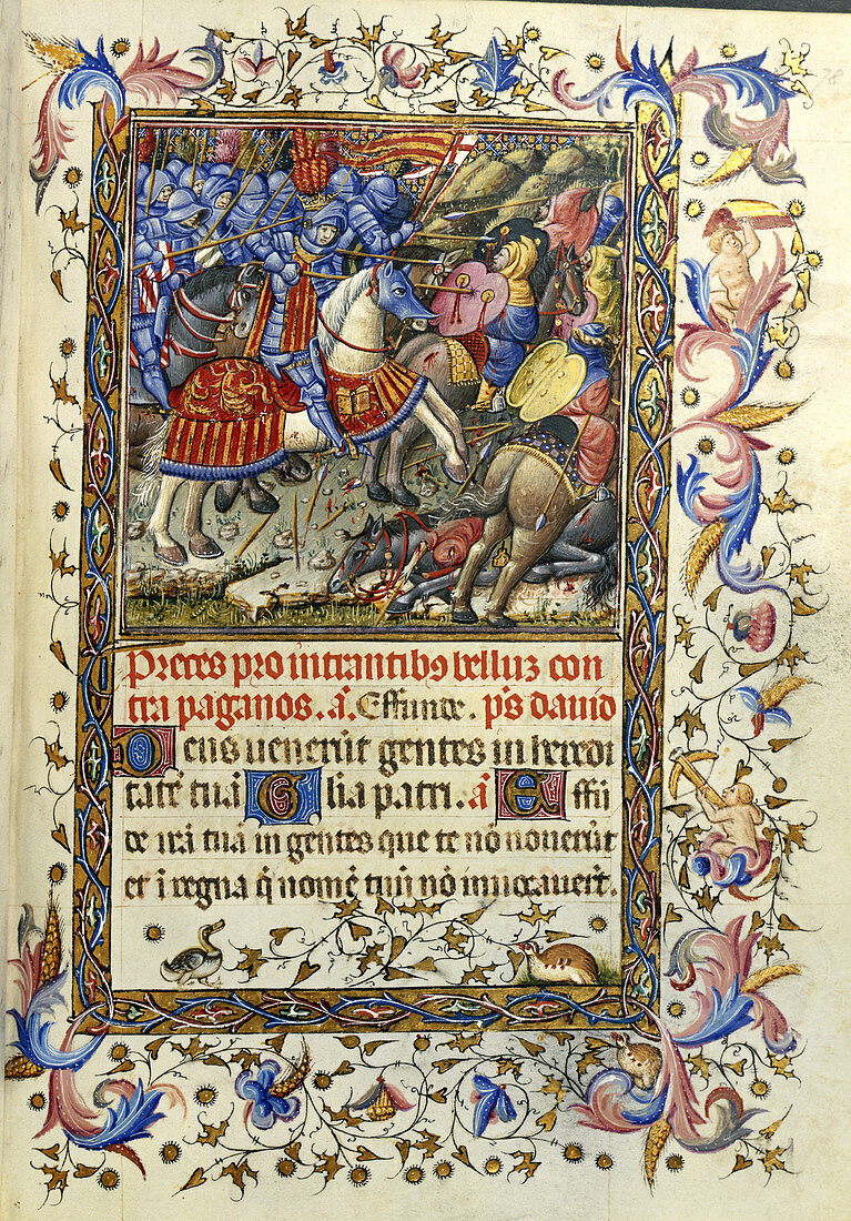 King Alfonso V in battle