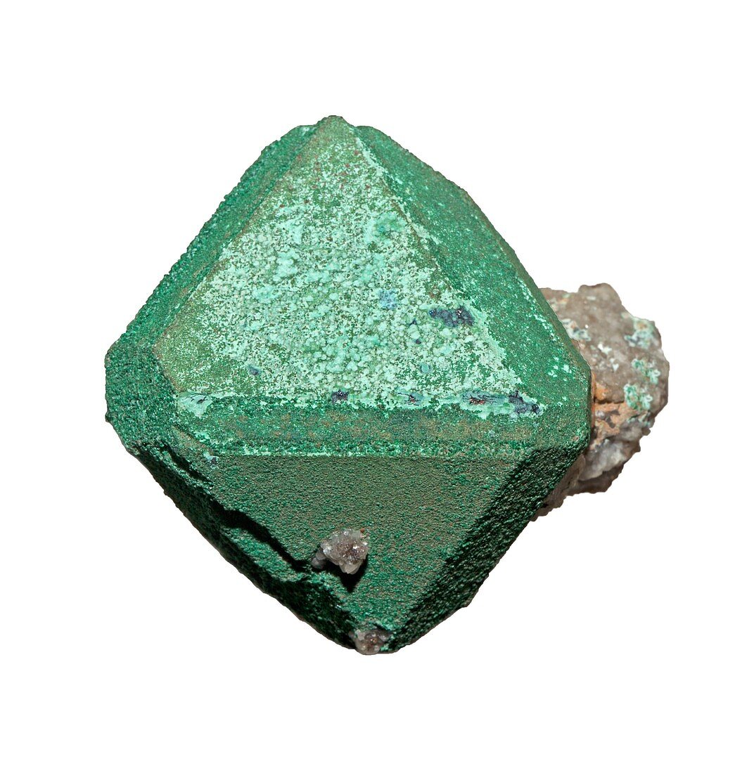 Cuprite octahedral crystal