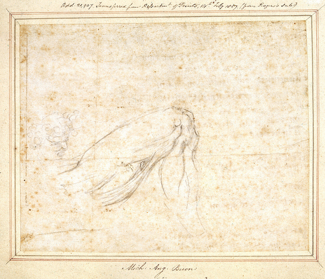 Sketch by Michelangelo