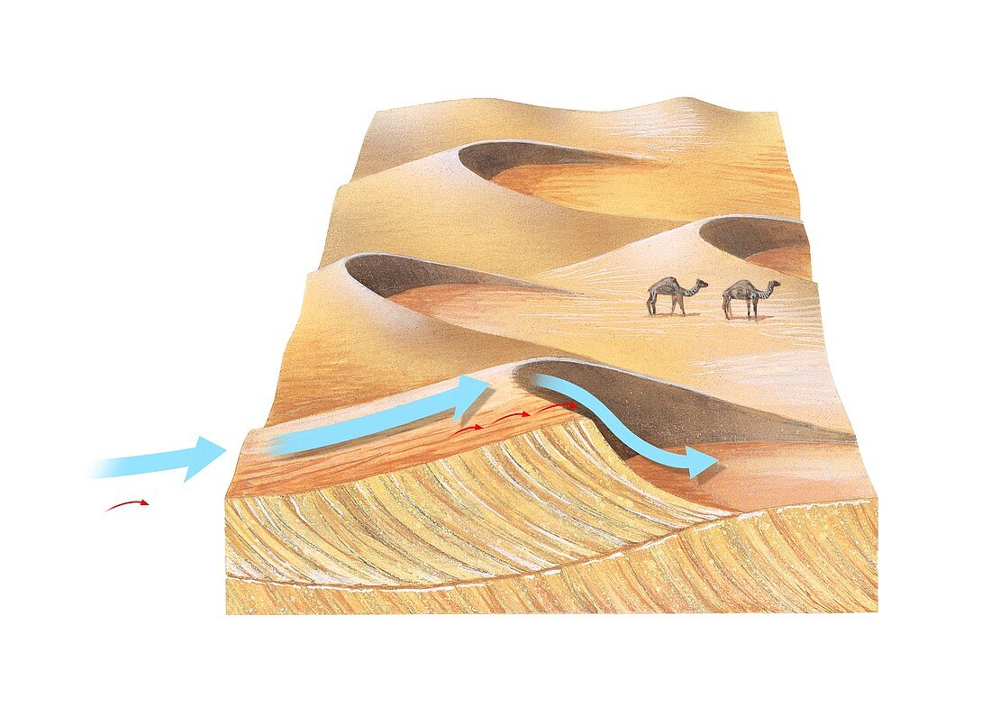 Desert sand dunes,diagram
