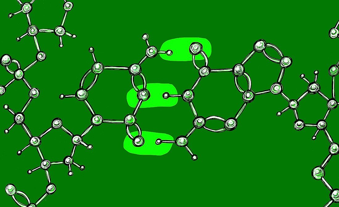 Cytosine-guanine bond,illustration