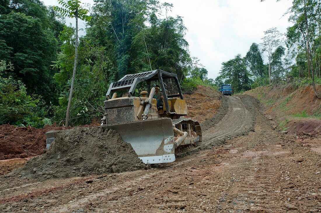 Bulldozer clearing road in jungle