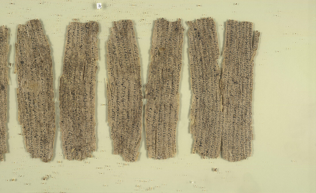 Fragmentary Buddhist text