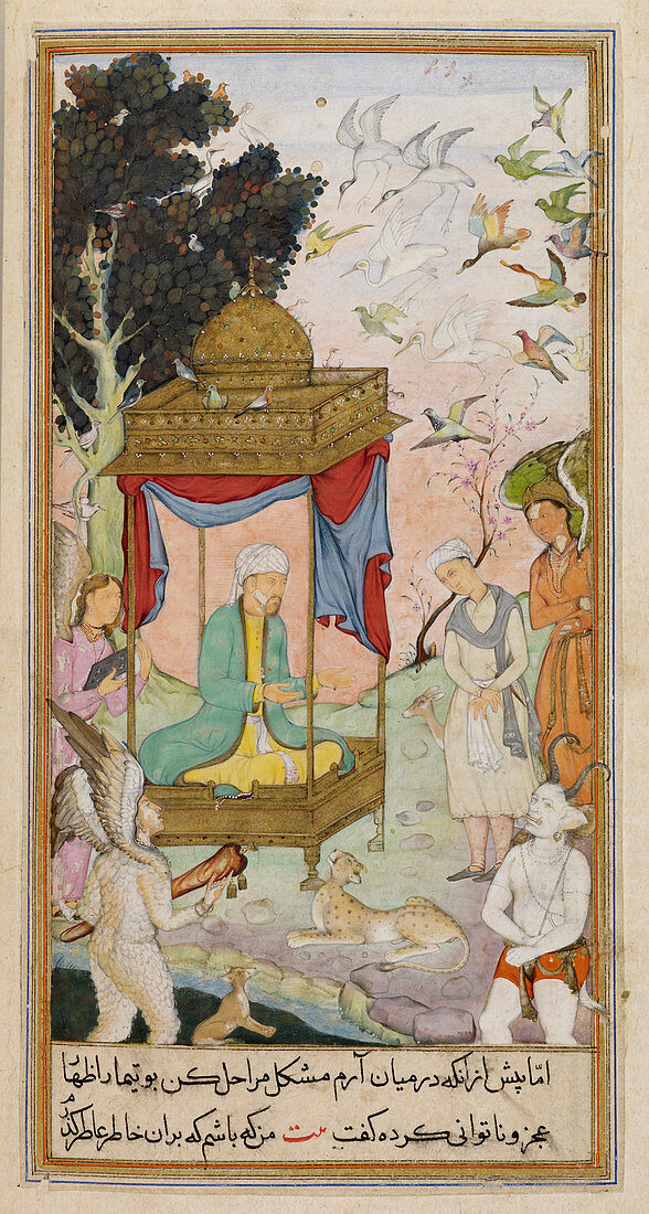 Sulayman with animals