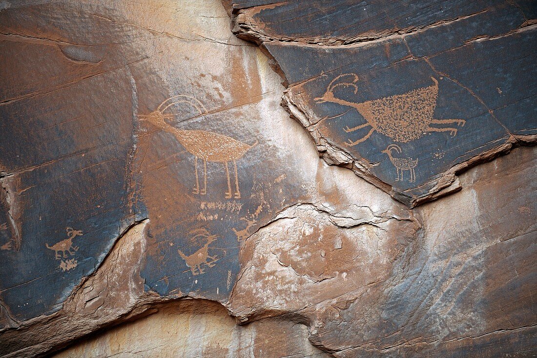 Petroglyphs,Monument Valley,USA