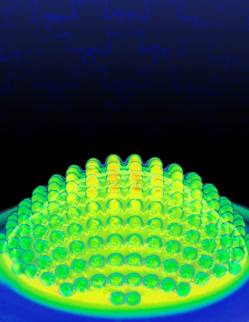 Electronic compound eye,3D CT image