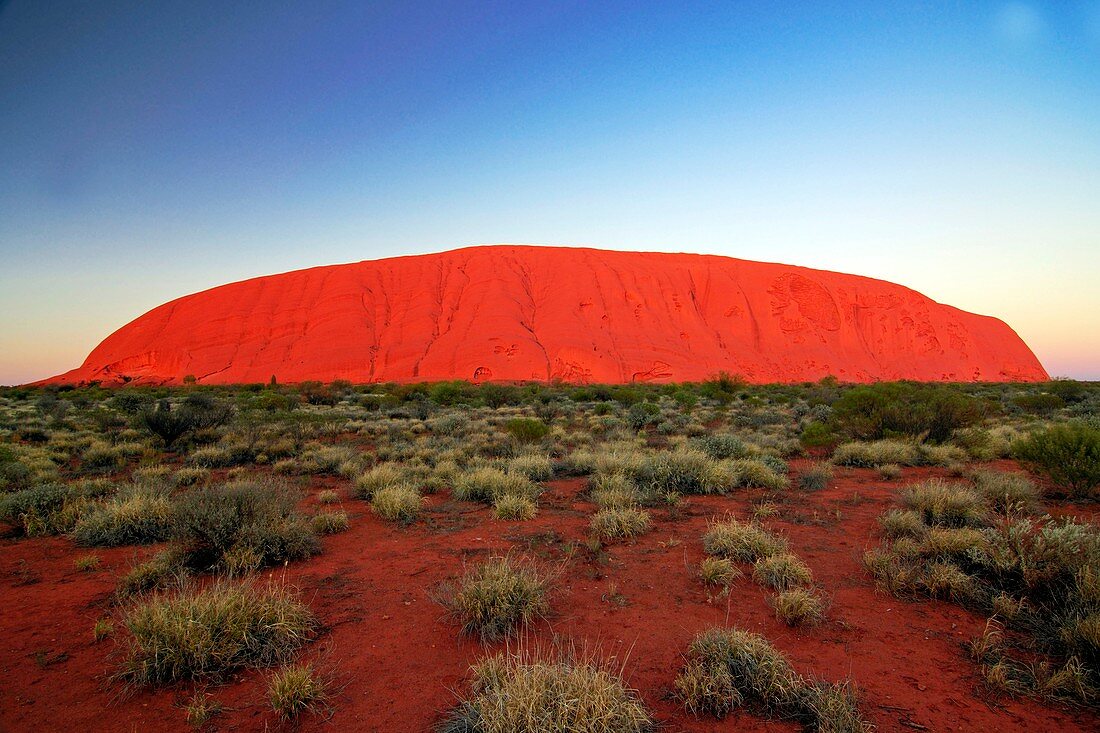 Uluru (Ayers Rock) at sunrise,Australia