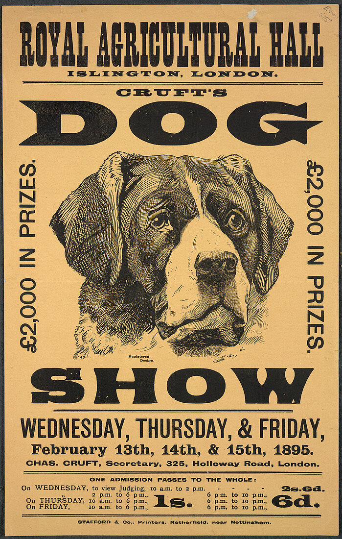 Cruft's dog show