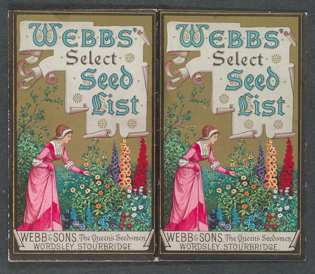 Webbs select seed list
