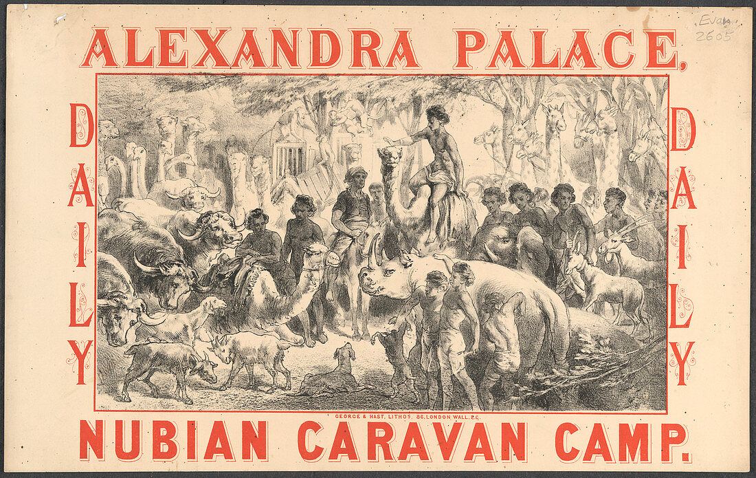 Nubian caravan camp