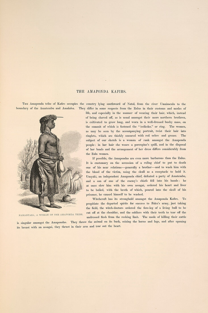Namantaza of the Amaponda tribe
