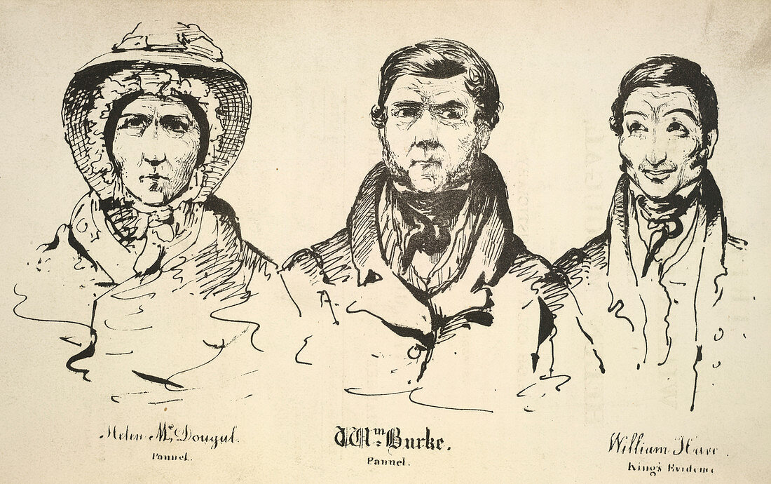 McDougal,Burke and Hare