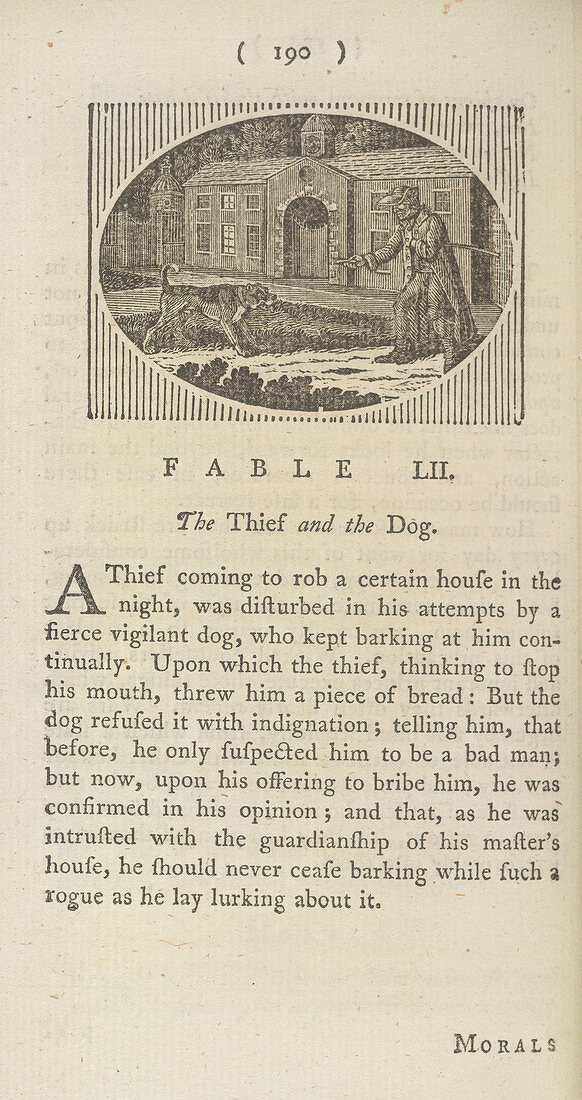 The thief and the dog