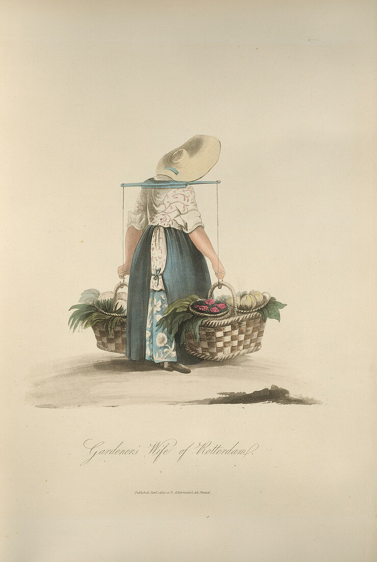 Gardener's wife of Rotterdam